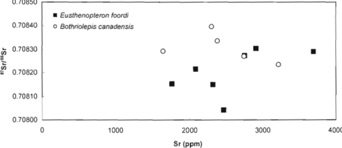 Figure  5.  Covariation  between  87Sr/86Sr  and  Sr  concentration  for  Bothriolepis  canadensis and Eusthenopteron foordi