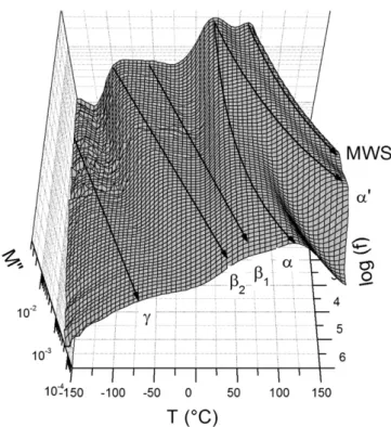 Fig. 1. 3D relaxation map of the dielectric modulus losses of PA 6,9 from DDS.
