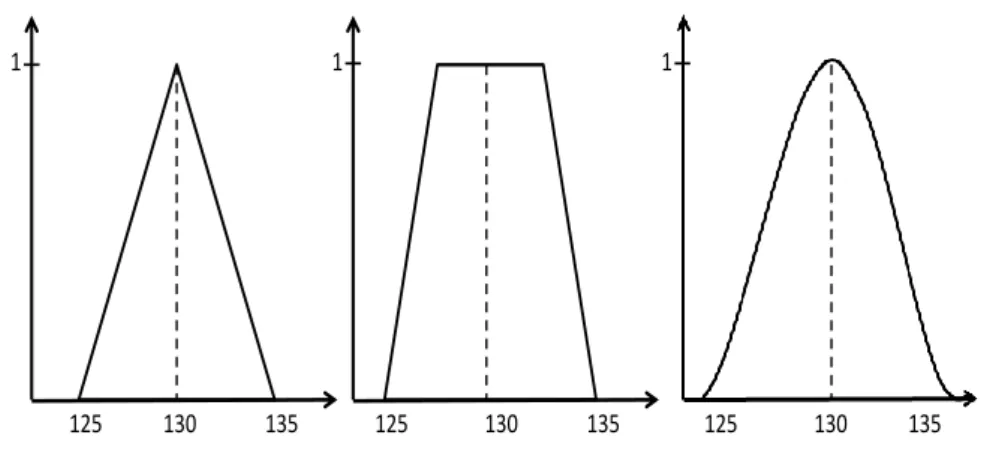 Figure 2.2 – Examples of fuzzy shapes