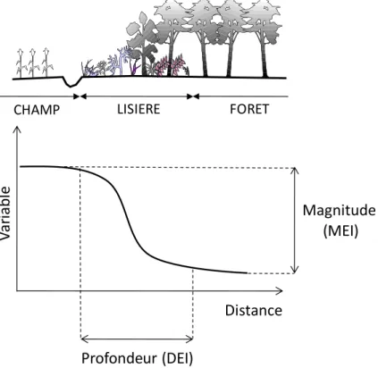 Figure 7 : Caractérisation de l’effet de lisière par sa profondeur d’influence (DEI) et sa magnitude (MEI)