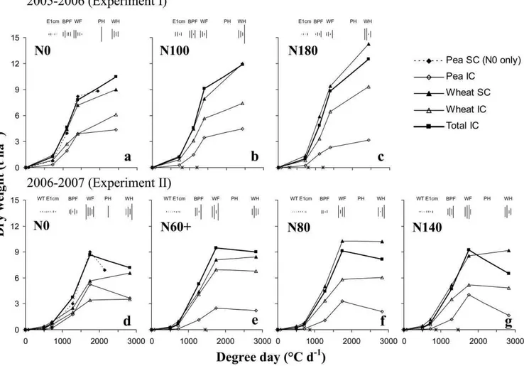 Figure 3. Evolution of total shoot dry weight (DW) production in t ha -1  of sole crops (SC) and intercrops (IC) of pea and wheat 