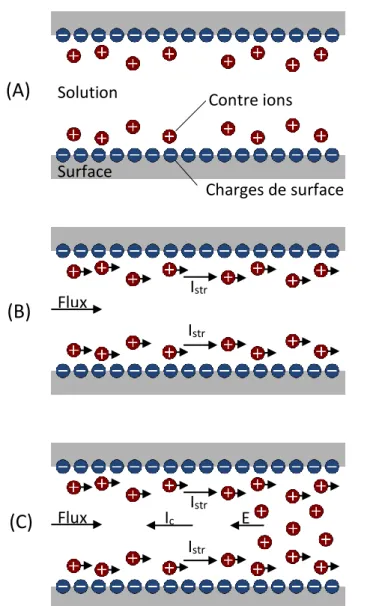 Figure 1-3 : Établissement d'un courant d'écoulement dans un microcanal de silice rempli  d'eau