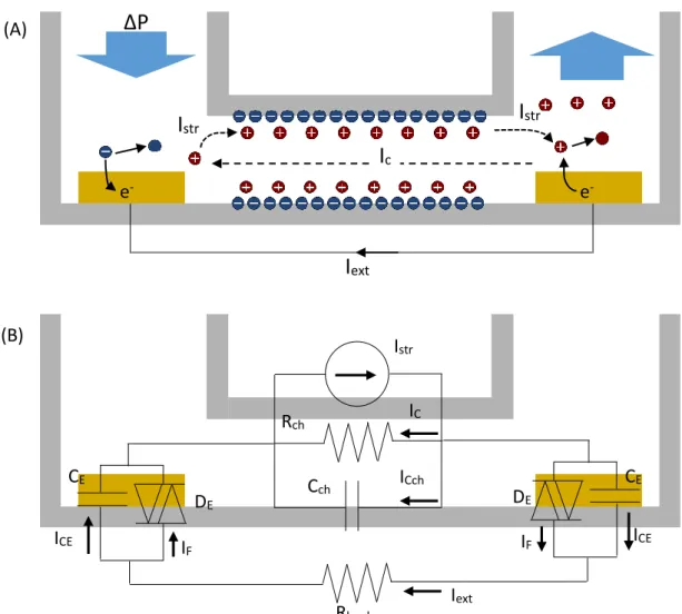 Figure 1-5 : (A) Schéma du courant d'écoulement en état stationnaire. (B) Circuit électrique  équivalent tenant compte de la polarisation des électrodes