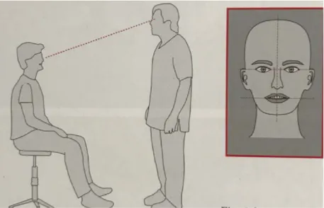 Figure 9: Observation du patient en se référant aux lignes de référence  du visage [51] 