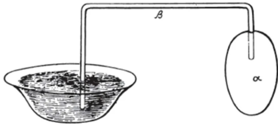Figure 1 Thermoscope de Philon de Byzance 19   
