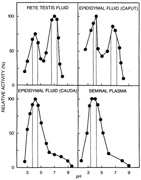 Fig. 2. Determination of ct-glucosidase optimum pH in rete testis and epi-  didymal fluids (caput and cauda) as compared to that of seminal  plasma