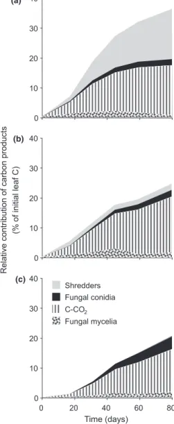 Fig. 4 Changes in the relative contributions of shredders con- con-sumption and microbial products to leaf decomposition during decomposition for the three treatments: (a) benthic, (b)  benthic-hyporheic and (c) benthic-hyporheic