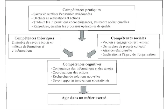 Figure 2.1.3.6  : Schéma d'organisation et de  sollicitation des  compétences 