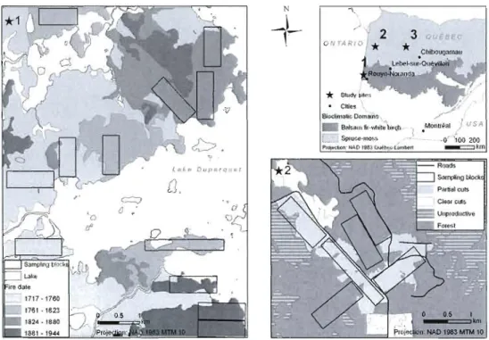 Figure  1.1.  Location  of study  sites  (l-Mixedwood  site;  2-Conifer  site;  3-Burn  site)  in  the  boreal  forest  of  Quebec,  Canada