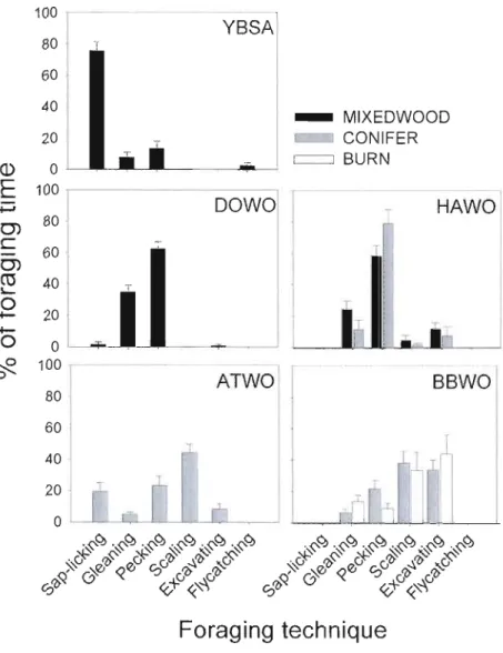 Figure  1.6.  Mean  proportion  of foraging  time  spent  using  different  foraging  techniques  by  five  woodpecker  species  in  boreal  mixedwood,  conifer  and  bum  sites