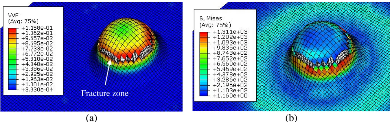 Fig. 13: Numerical results of Erichsen test (a) Evolution of volume fraction, (b) von Mises stress