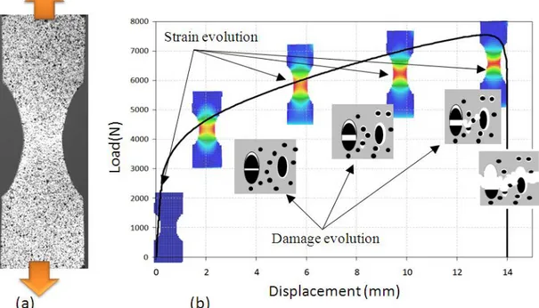 Fig. 1: (a) tensile test of bi-entailed plate specimen, (b) evolution of the damage process in a ductile metal  related to the macroscopic loading evolution