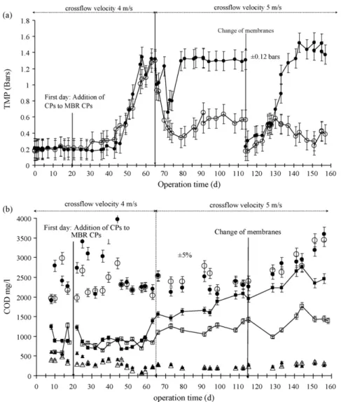 Fig. 7. (a) Transmembrane pressure variation (䊉) MBR-CPs, () MBR-control. (b) COD concentration in MBR-inﬂuent (䊉) MBR-CPs, () MBR-control, MBR-supernatant, () MB-Cps, () MBR-control and MBR-permeate, () MBR-CPs, () MBR-control.