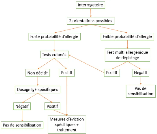 Figure n°8 : Arbre décisionnel de diagnostic des allergies respiratoires (41) 