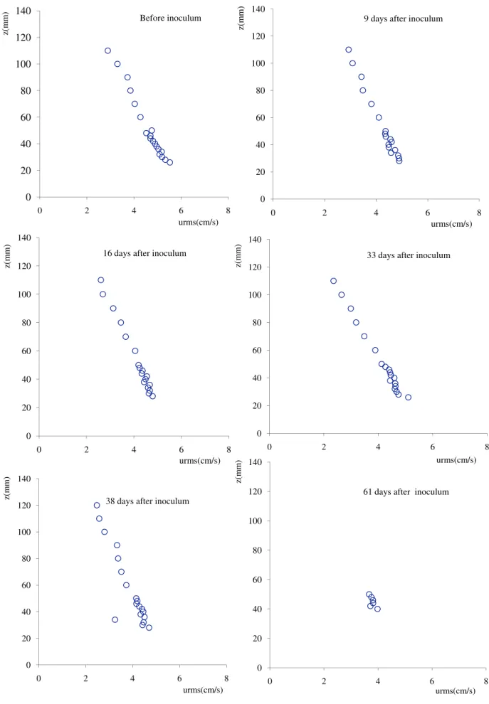 Figure 7. Double‐averaged u rms profiles obtained by LDA measurements before inoculum and 9, 16, 33, 38, and 61 days after inoculum.