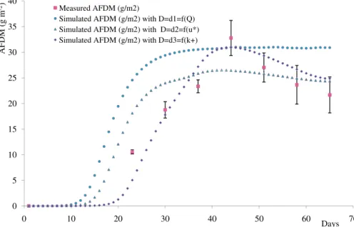 Figure 9. Comparison of measured Chl‐a (g m −2 ) and simulated values with the three equations (5), (6), and (7) for detachment, D: d 1 = C det Q B ( c 2 = 1182, E = 0.34), d 2 = C det′ u * B ( c 2 = 555, E = 0.63), and d 3 = C det′′ k + B (c 2 = 18, E = 0