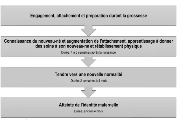 Figure 1. Étapes du processus d’établissement de l’identité maternelle de la théorie BAM  (Mercer, 2004)