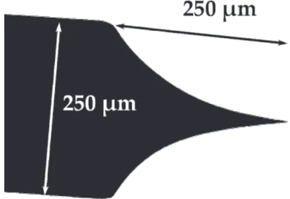 Fig. 2. Optical microscopic observation (Zeiss, Oxilab) of the tungsten tip prepared by electrochemical thinning.