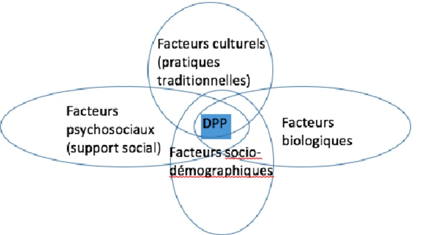 Figure 1 : Modèle conceptuel des facteurs de risque de la dépression post-partum 