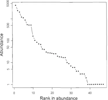 Figure  1.1  SAFE species  rank  in  abundance  of the  47  species  from  pitfall  trapping  shows  a  log-linear dec1ine  for  the first  38  species  and  a  tait  of nine  species with only  one individual