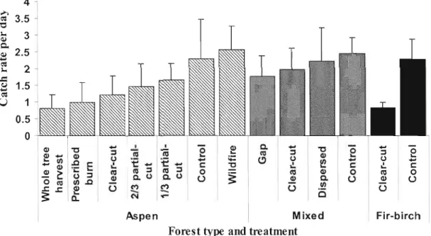 Figure  1.2  Average  daily  catch  rate  pooled  by  forest  type  and  treatment. 