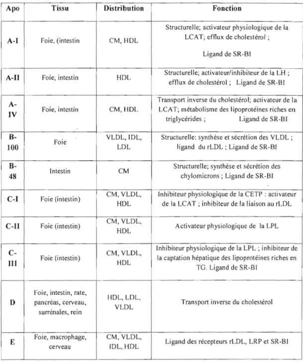 Tableau II: Identité,  expression tissulaire,  distribution  plasmatique et  fonction  des  principales  apolipoprotéines humaines (Lagrost  et al