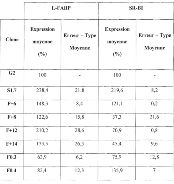 Tableau  III :  Taux d'expression  de  la  L-F ABP et de  SR-BI  après  la  transfection  de cellules  HepG2  avec  l' ADNc  codant  pour  la  L-FABP