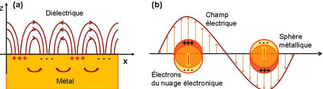 Figure I-29.Schéma illustrant deux types de plasmons de surface (a) les plasmons polaritons capables de se  propager sur des distances micrométriques et (b) les plasmons localisés à la surface de petites particules