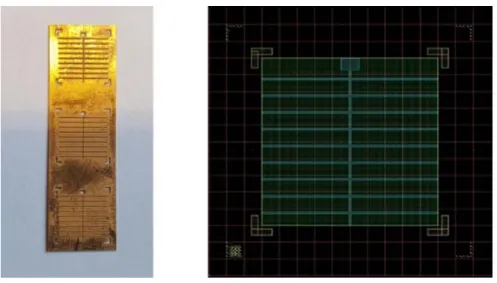 Figure II-21.Image de la grille et le layout des 9 lignes métalliques de la face avant 