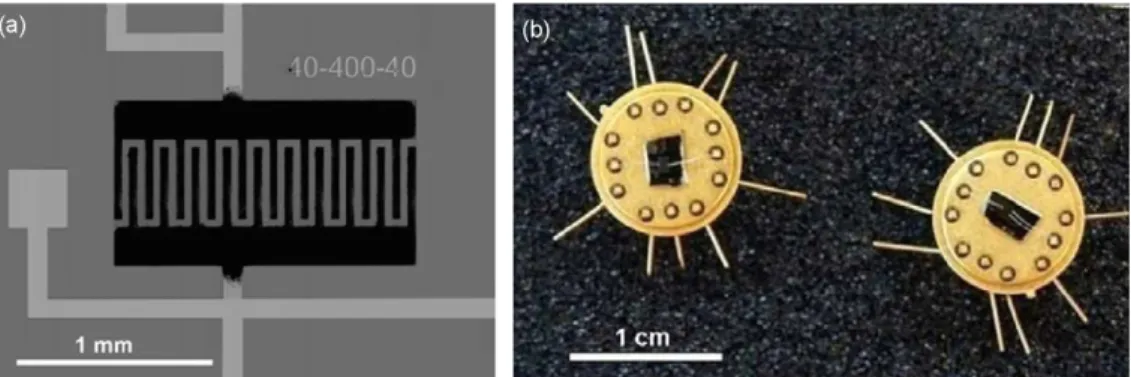 Fig. 2. Optical image of (a) a micro-supercapacitor with 20 ﬁngers, 40 ␮m wide, 400 ␮m long and interspaced by 40 ␮m and (b) the chips at lower magniﬁcation.