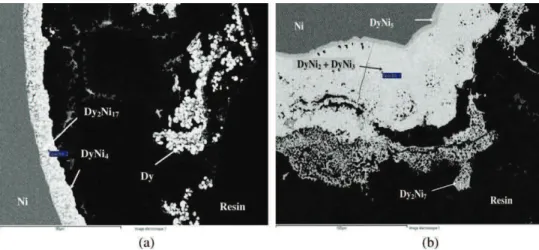 Fig. 11. Different SEM micrographs of the cross section of nickel electrodes after electroreduction of DyF 3 : (a) at T = 840 °C; i = ÿ15 mA cm ÿ2 ; t = 3600 s and (b) at T = 870 °C;