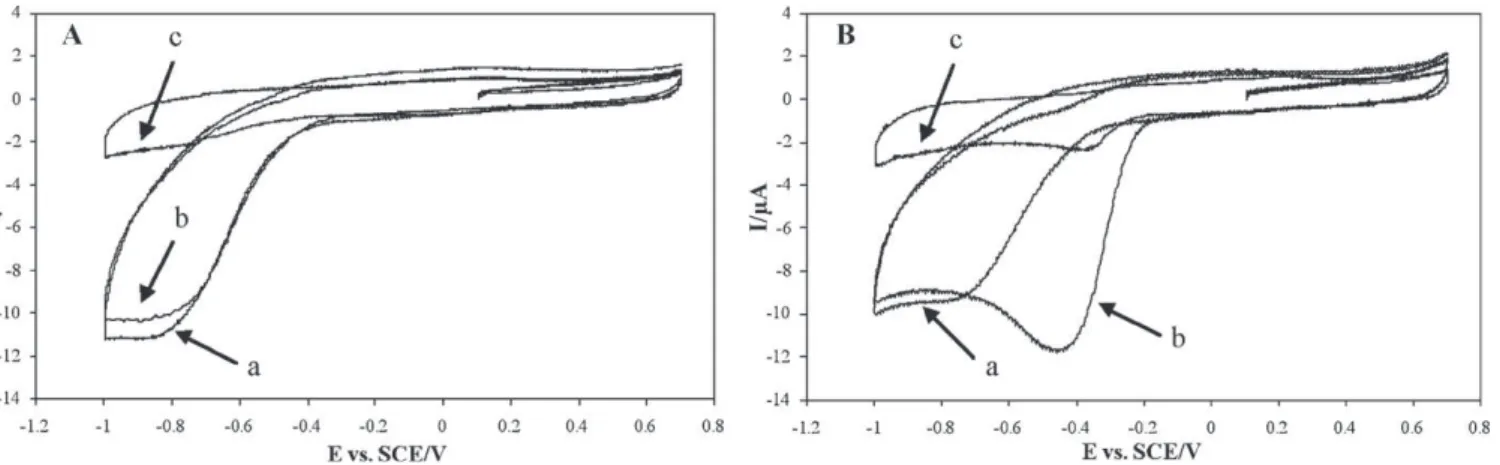 Fig. 1. Cyclic voltammograms of (A) phosphate buffer alone and (B) P. aeruginosa PA01 in phosphate buffer (line a), after 1 h of gentle stirring (line b) and after 20 min of nitrogen bubbling (line c).
