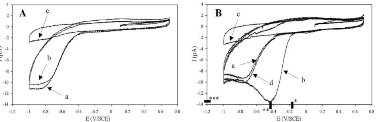 Fig. 1. Cyclic voltammograms of (A) phosphate buffer alone and (B) M. luteus in phosphate buffer and M