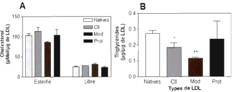 Figure 11  :  Effet d'une circulation de LDL dans  le  système  sanguin  du  rat Sprague-Dawley  sur la composition lipidique de ces  lipoprotéines