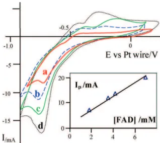 Fig. 6. Cyclic voltammetry (CV) curves obtained in a multichannel microelec- microelec-trochemical filter-press reactor with various concentration of flavin; working electrode: Au; auxiliary electrode Pt; No flow; anolyte and catholyte contain  phos-phate 