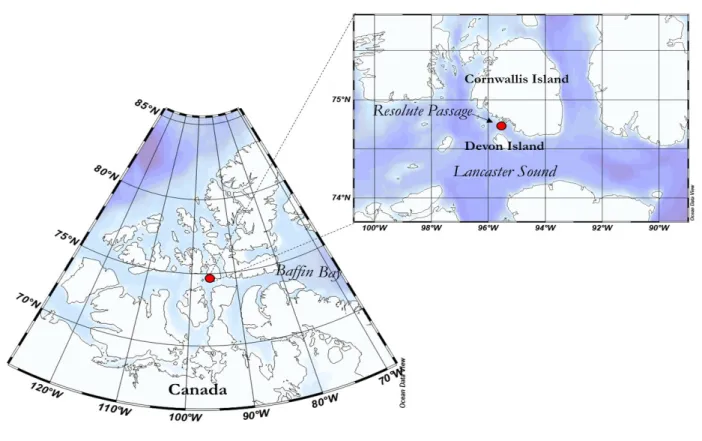 Figure 2.1 : (Left) Map of the sampling region in the Canadian Arctic Archipelago. (Right) ArcticIce 2012 ice  camp position in the Resolute Passage (74° 43.613’ N; 95° 33.496’ W)