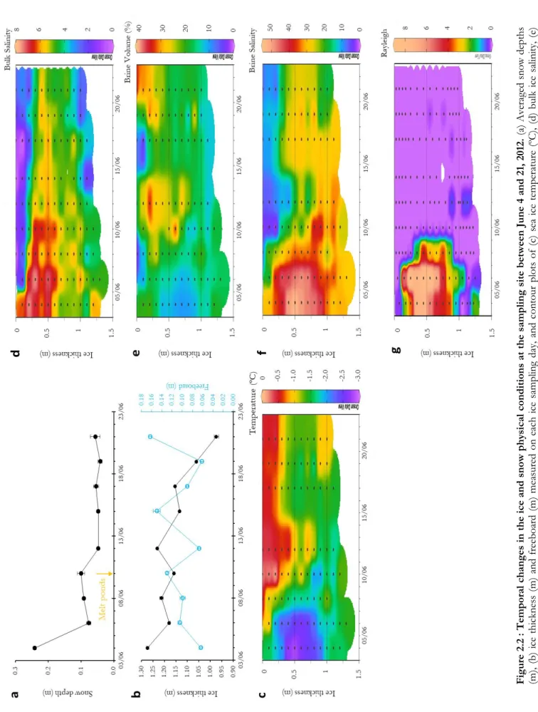 Figure 2.2 : Temporal changes in the ice and snow physical conditions at the sampling site between June 4 and 21, 2012