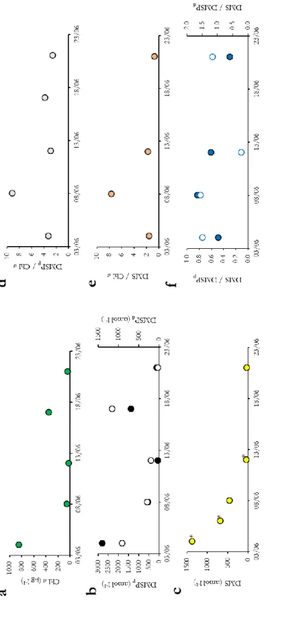 Figure 2.3 : Temporal variations of bottom sea ice Chl a, DMSP, and DMS concentrations and DMSP p / Chl a ; DMS/Chl a and DMS/DMSP ratios between June 4 and 21, 2012