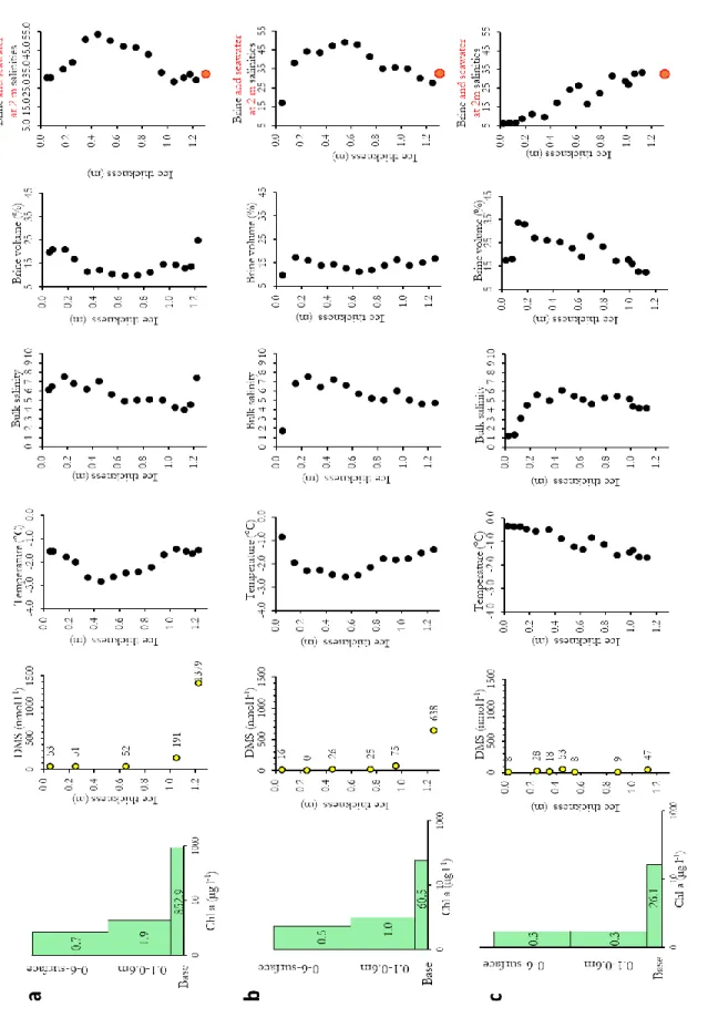 Figure 2.5 : Vertical profiles of Chl a, DMS and physical characteristics in sea ice on June 4, 6 and 12, 2012