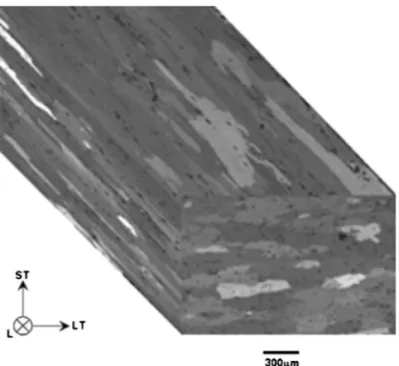 Figure 1 shows an optical microscope observation of the elon- elon-gated grain structure of the 2024T351 rolled plate under polarized light