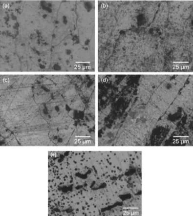 Figure 3. Optical observations of corroded faces on 2024 T351 aluminum alloy after potentiokinetic polarization in 共a兲 0.5, 共b兲 1, 共c兲 3, and 共d兲 5 M NaCl solutions and 共e兲 for an interrupted potentiokinetic polarization test at