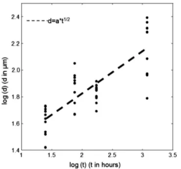 Figure 13. Linear regression of stationary propagation regime in a 0.5 M chloride solution.