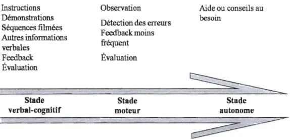 Figure 2.6  Les trois phases dans le processus d'apprentissage selon Schmidt (1999) avec  leurs implications pour le fonnateur