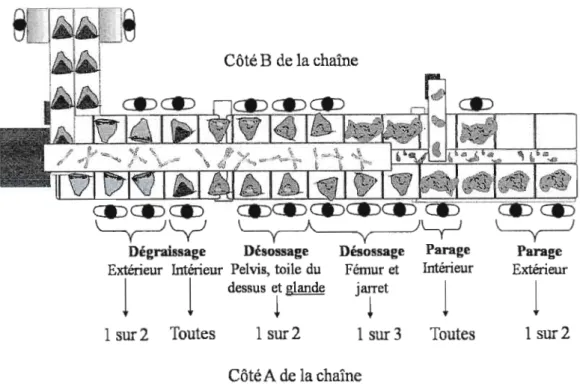 Figure  4.1  Schéma présentant l'organisation de  la chaîne de production  pour la  transformation de fesses de porc