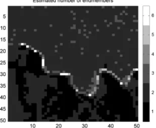 Fig. 8. Number of endmembers estimated by the proposed algorithm (darker (resp. brighter) areas means R = 1 [resp