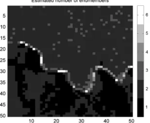 Fig. 8. Number of endmembers estimated by the proposed algorithm (darker (resp. brighter) areas means R = 1 [resp