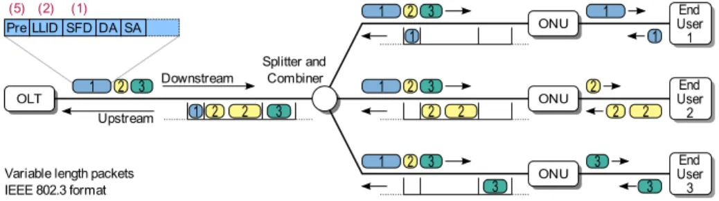 Fig. 7. Downstream and upstream traffic flow of an EPON