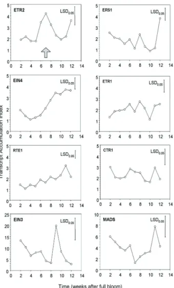 Fig.  4:  Transcript  accumulation  of  various  ethylene  receptor  genes  over  berry  development,  the  berries  of  'Cabernet   Sauvi-gnon' grapes were collected in triplicates over two seasons,  sym-bols are average of three to six biological replica