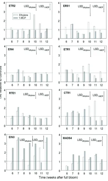 Fig.  5:  Transcript  accumulation  of  various  ethylene  receptor  genes over berry development, after treatment with ethylene and  1-MCP  for  24  h  at  an  initial  rate  of  4  µl·l -1 ,  the  control  levels  were given the “one” value; there were t