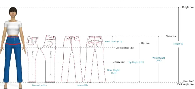 Figure 3-4 Relations between the basic jean flats, basic jean patterns and human body in the  height direction
